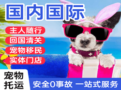 银川河东机场物流国际宠物托运 【国